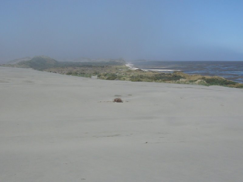 Travel - New Zealand - North West and Farewell Spit